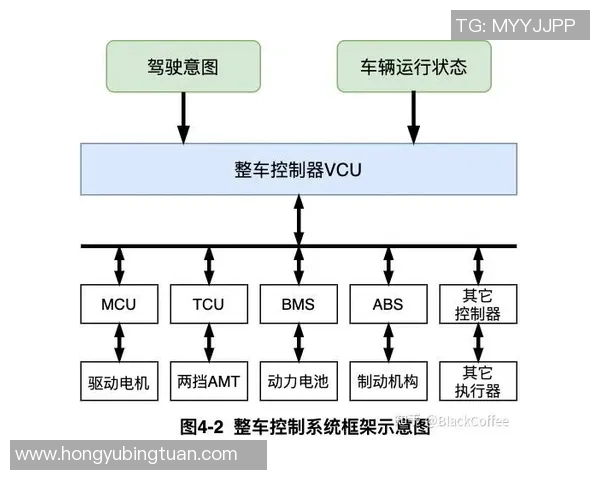 武汉网球队的团队协作与战术配合深度分析与探讨